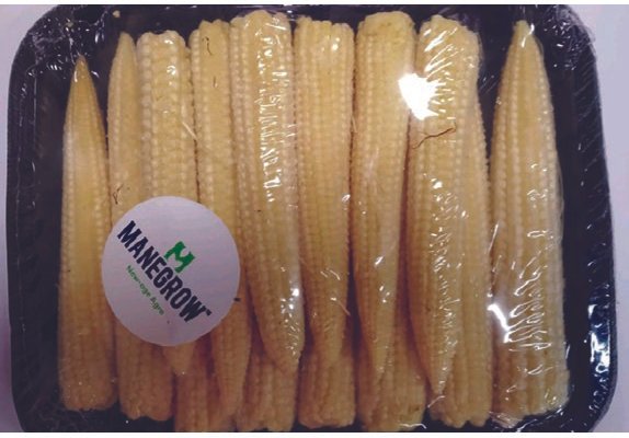 manegrow-agro-13